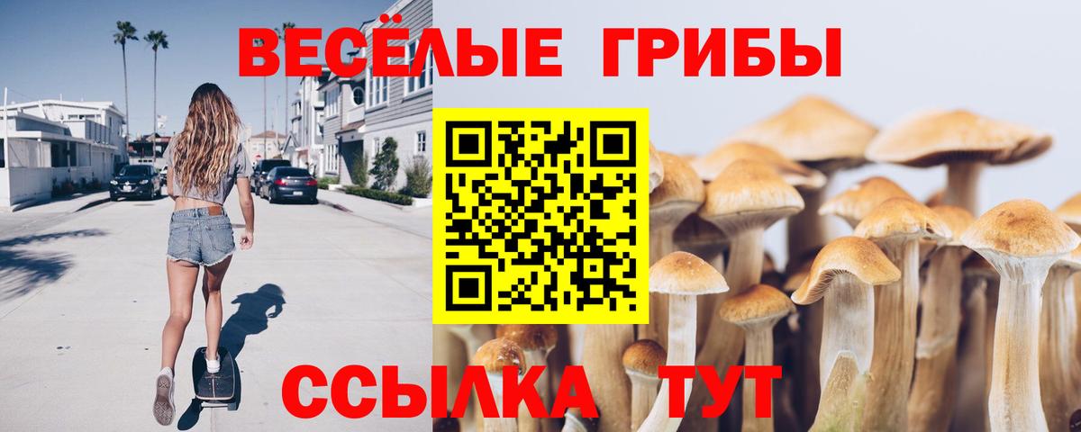 Псилоцибиновые грибы Cubensis  Галлюциногенные грибы MAGIC MUSHROOMS  Архангельск  Вход с VPN 